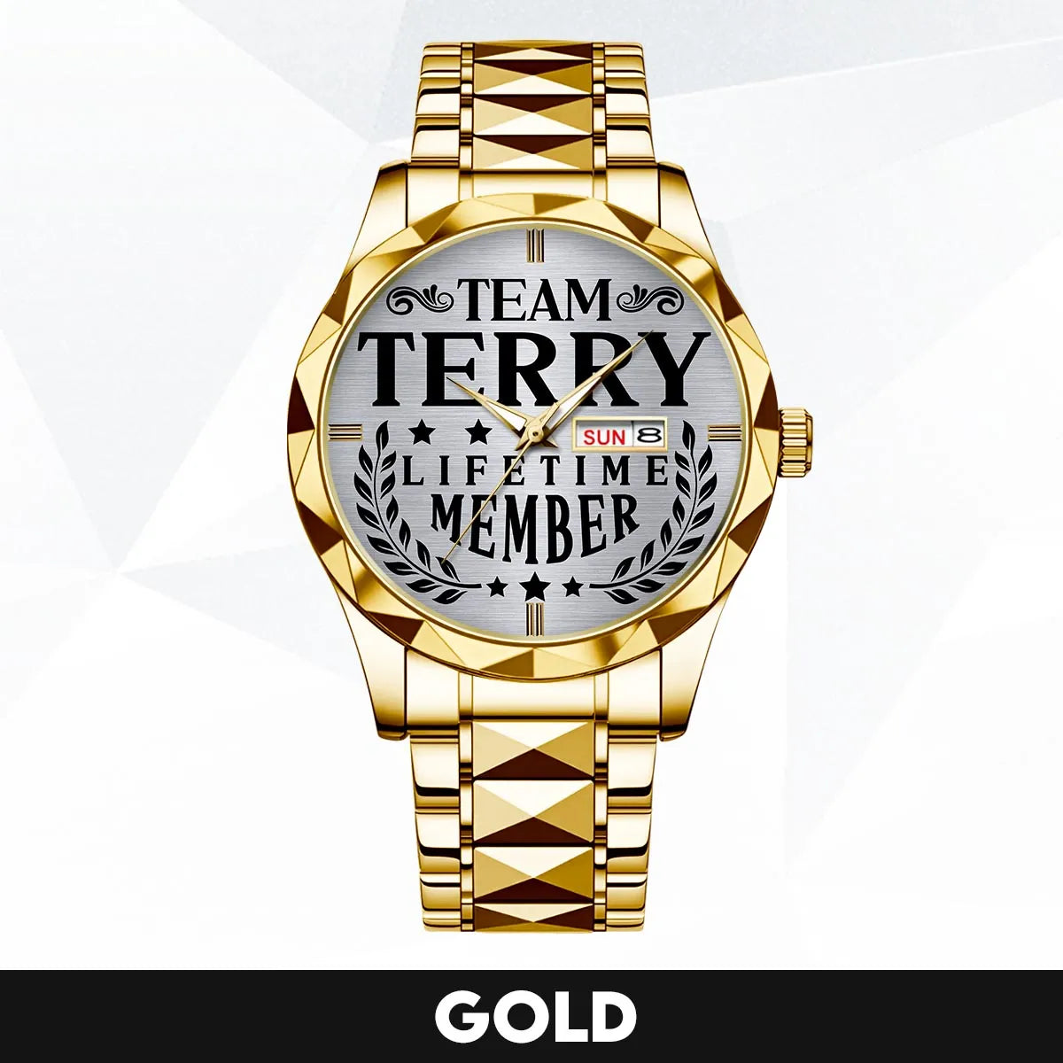 TERRY 13K1-437 Luxury Alloy-Men Watch, Personalized Premium Gift for Anniversary
